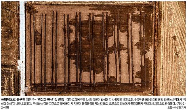 11월18일자 세계일보 1면 사진 캡처. 