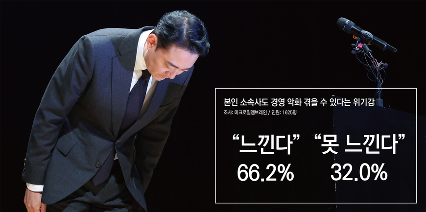기자 56% 