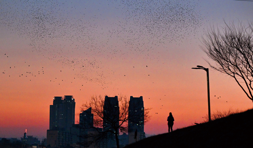 [뷰파인더 너머] (241) 공존