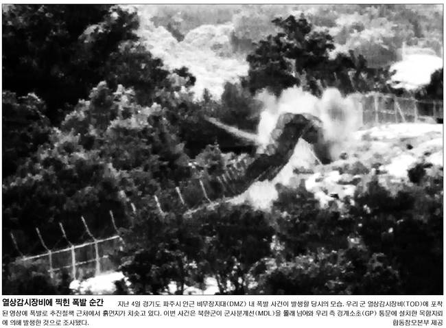 8월11일자 국민일보 1면 사진 캡처.