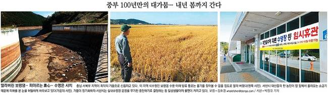 10월7일자 동아일보 1면 사진 캡처