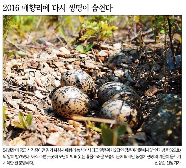 11일자 한국일보 1면 사진 캡처.
