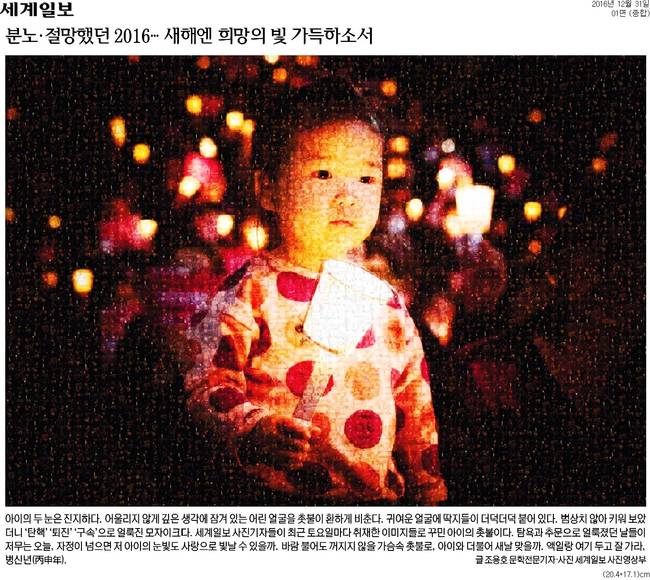 31일자 세계일보 1면 사진 캡처.