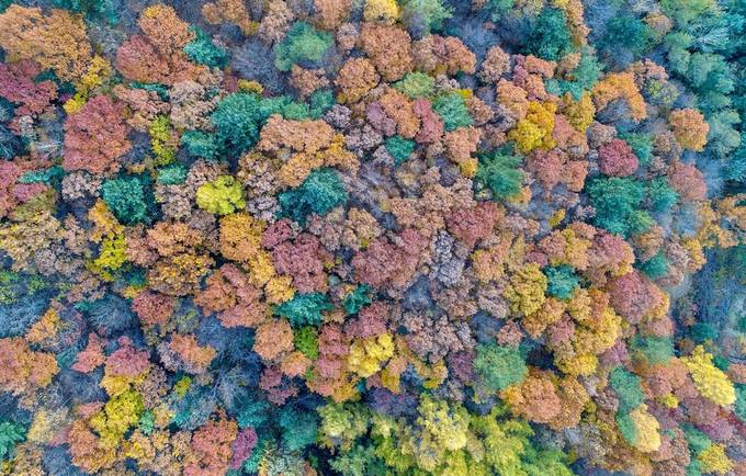 강원도 평창 진부면의 가을풍경(김진수 기자, 한겨레21, 2018.10.29). 강원도 평창 진부면의 가을풍경(김진수 기자, 한겨레21, 2018.10.29).