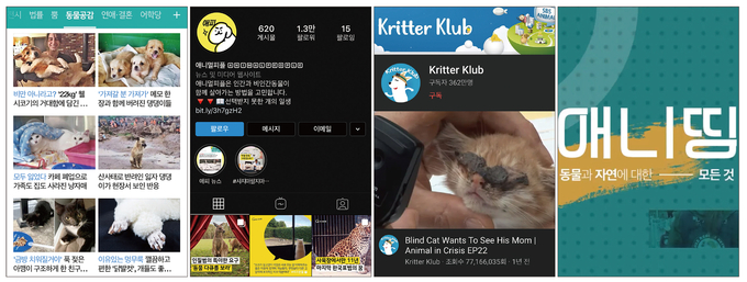 동물을 주요 소재로 삼은 언론사 콘텐츠, 버티컬 매체의 사례. (왼쪽부터) 한국일보-네이버 조인트벤처 ‘동그람이’가 운영하는 네이버 ‘동물공감’ 판, 한겨레신문 ‘애니멀피플’ 인스타그램 페이지, SBS ‘TV동물농장’의 해외시장을 겨냥한 유튜브 채널 ‘Kritter Klub’, 중앙일보 사회기획팀의 유튜브 콘텐츠 ‘애니띵’ 캡처 등. 동물을 주요 소재로 삼은 언론사 콘텐츠, 버티컬 매체의 사례. (왼쪽부터) 한국일보-네이버 조인트벤처 ‘동그람이’가 운영하는 네이버 ‘동물공감’ 판, 한겨레신문 ‘애니멀피플’ 인스타그램 페이지, SBS ‘TV동물농장’의 해외시장을 겨냥한 유튜브 채널 ‘Kritter Klub’, 중앙일보 사회기획팀의 유튜브 콘텐츠 ‘애니띵’ 캡처 등.